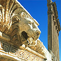 Baalbeck, le lion romain