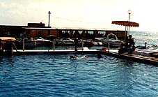 Mer ou piscine à Byblos sur mer...