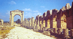 Site de Tyr,classé patrimoine mondial de l'humanité par l'UNESCO